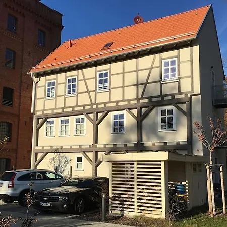 Bachstelze Erfurt