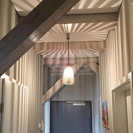 Bachstelze Érfurt