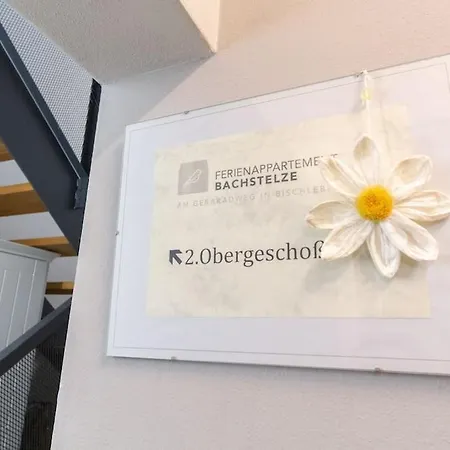 Bachstelze * Érfurt