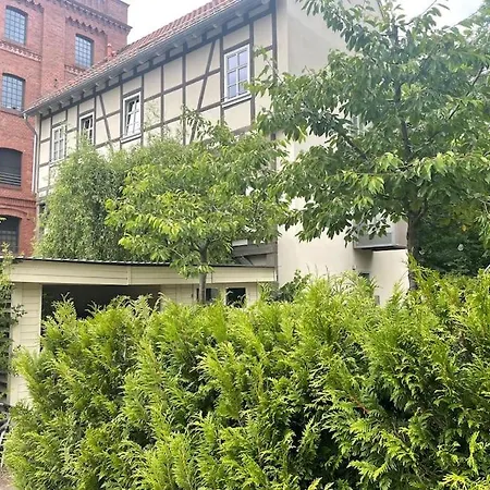 Bachstelze Appartement *