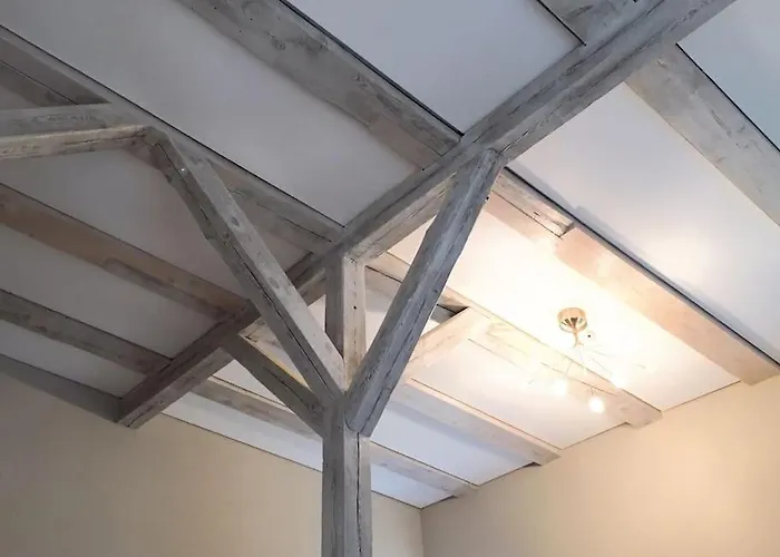 Bachstelze Appartement Erfurt