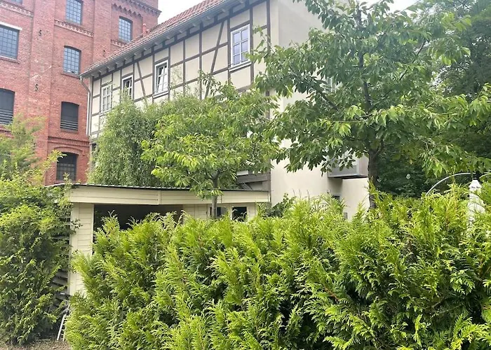 Bachstelze Apartman *